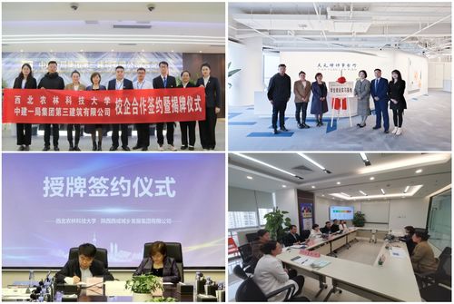 人文社會發展學院人力資源服務 融合人文關懷與專業管理的創新實踐